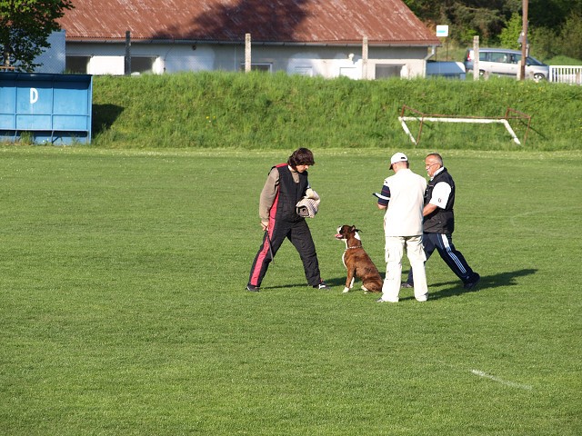 www.atibox.net * www.euroboxer.eu * www.boxergenealogia.eu